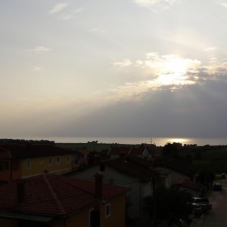 Apartments Tenerifa Novigrad Istria Exteriér fotografie
