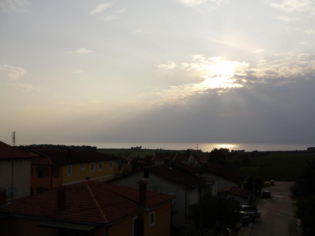 Apartments Tenerifa Novigrad Istria Exteriér fotografie